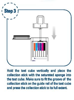 10 Panel Mouth Swab Drug Test Step 3 - 12 Panel Now 10 Panel Mouth Swab Drug Test Step 3 - 12 Panel Now