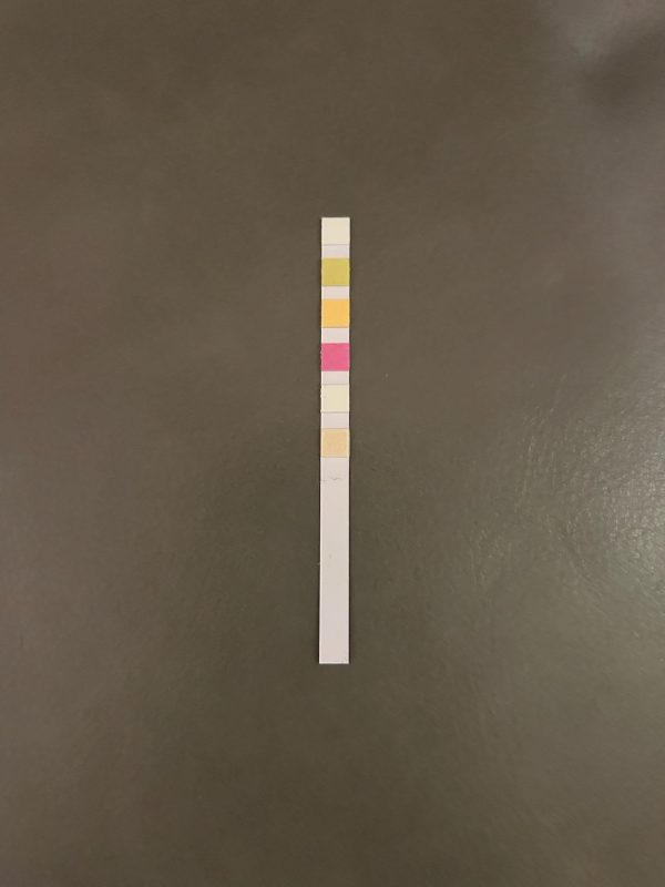 Adulteration Test Strips - Image 4