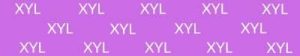 XYL - testing drug strip in drug testing kit