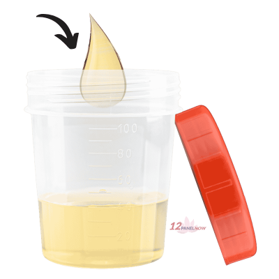 Specimen Collection Cup, 2 specimen collection cup with sample